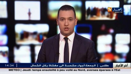 عمرة  نقل جوازات المعتمرين إلى السفارة السعودية للتأشير.. مهمة الديوان الجديد