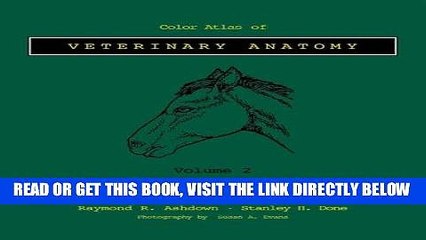 Read Now Color Atlas Veterinary Anatomy: Volume 2, The Horse, 1e (Color Atlas of Veterinary