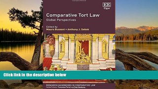 Big Deals  Comparative Tort Law: Global Perspectives (Research Handbooks in Comparative Law