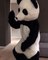 Patrice Evra a posté une vidéo sur Instagram déguisé en panda pour dire non au racisme