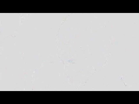 구글검색 밤전 상계키스방 사이트 부산립카페