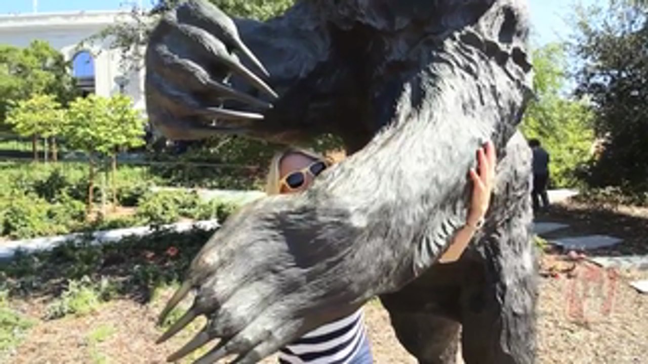THE ULTIMATE BEAR HUG