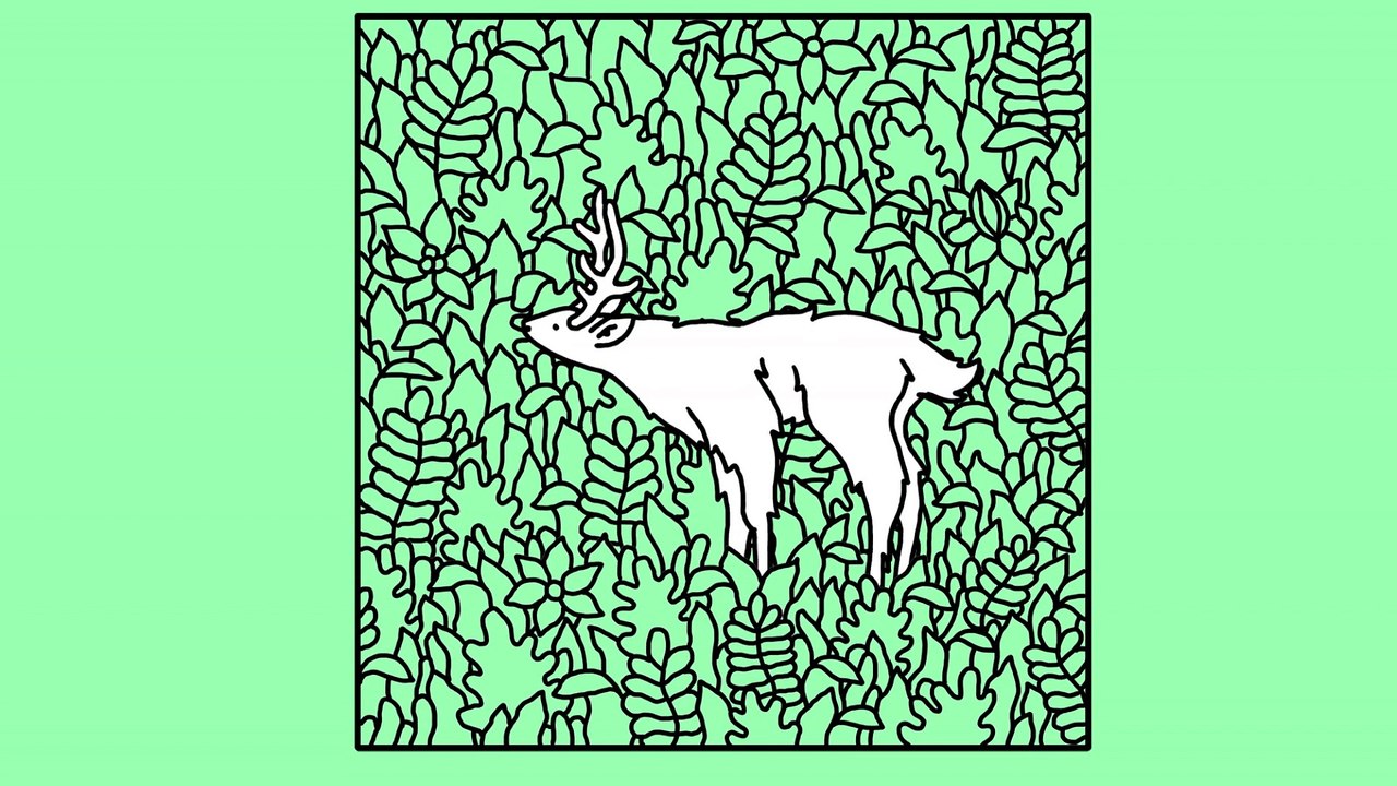 Martin Courtney - Asleep (Official Video)