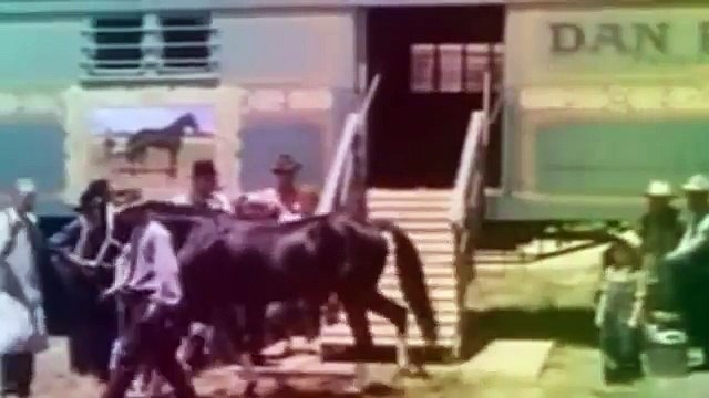 Dessin Animé Complet en francais new Nouveauté Les Simpson Walt Disney