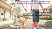 Speak Chinese HC 117-4 HSK 4 Walking the dog has become my daily routine 遛狗就成了我的事儿 Happy Chinese 快乐汉语