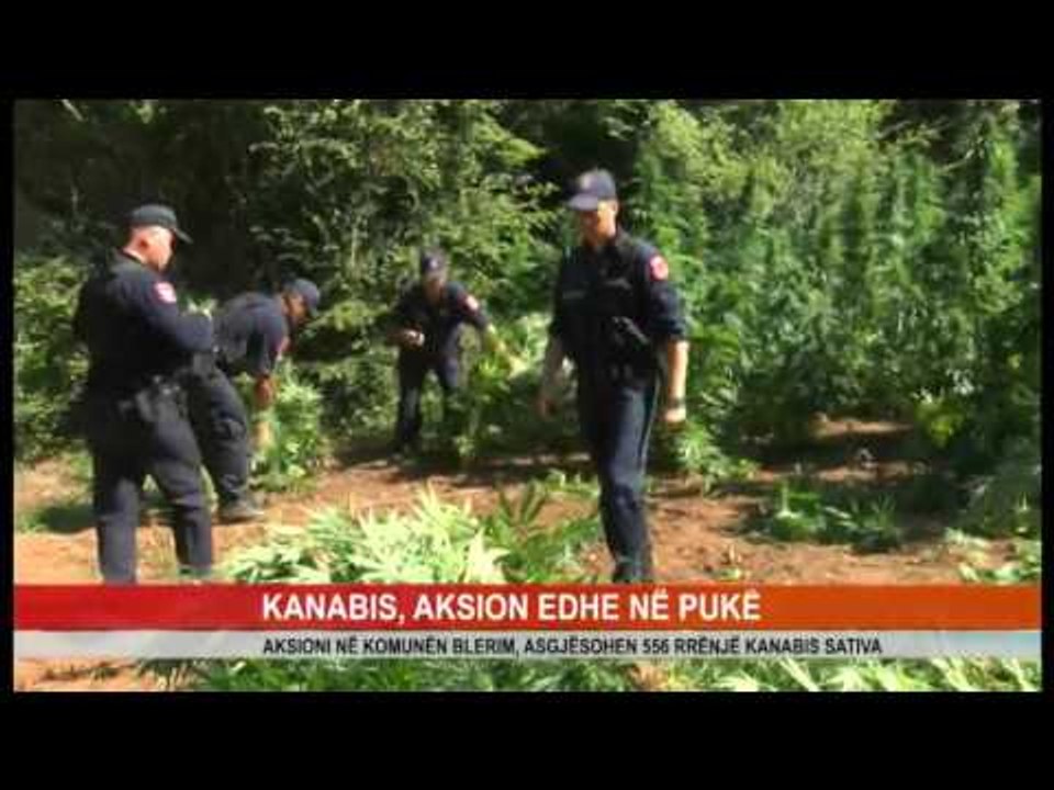 KANABIS PUKE