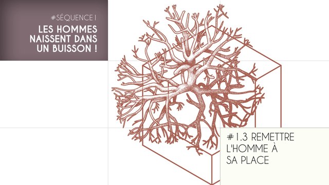 MOOC Les origines de l’Homme, Séquence 1.3. Remettre l'Homme à sa place