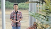 Pamit - Tulus (Bintan, Rahma, Mega, Andri Guitara) cover - YouTube