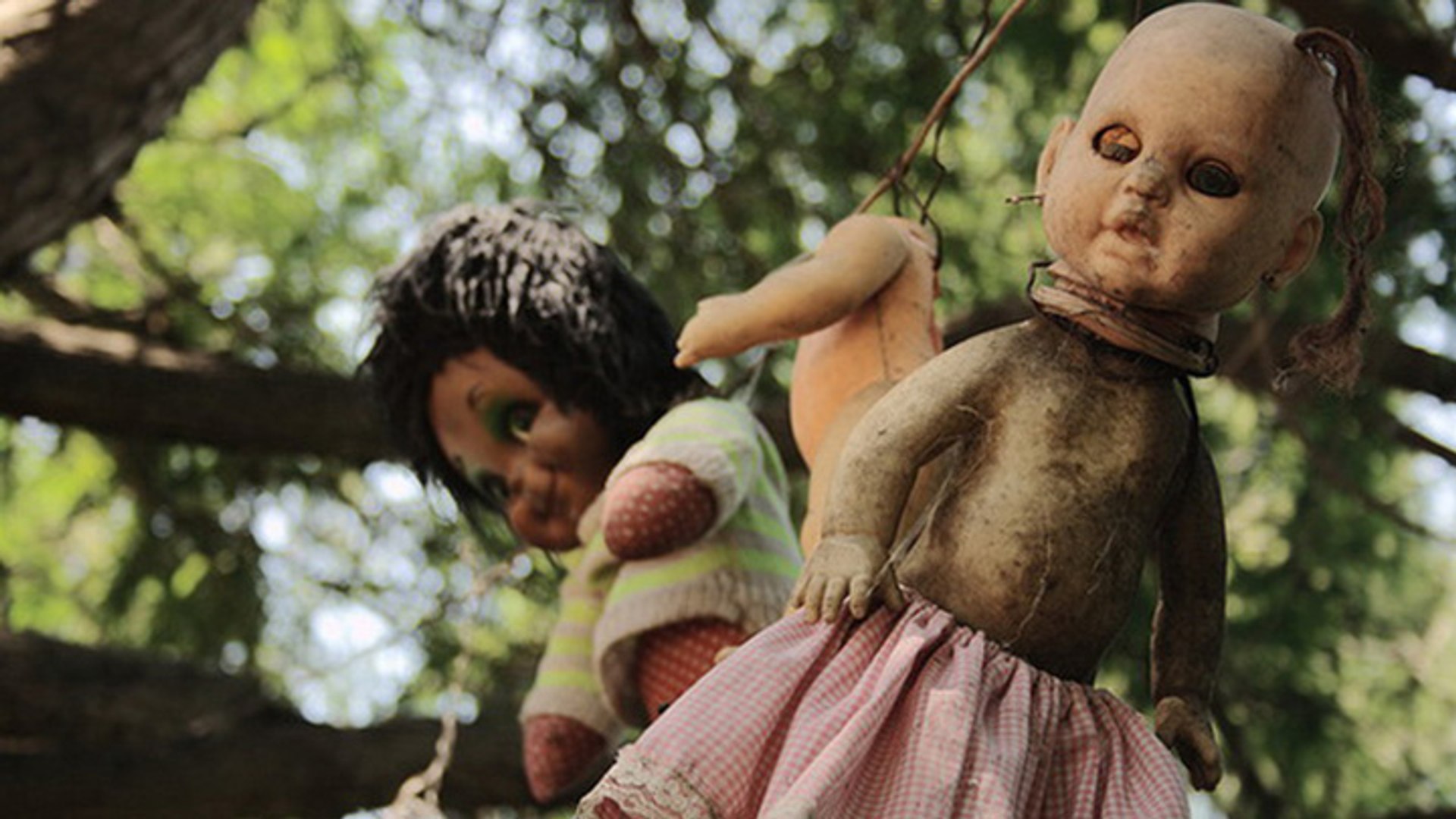 Une île qui héberge des poupées effrayantes - Vidéo Dailymotion