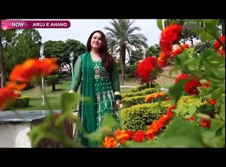 Nadia Gul Pashto New Song 2016  Zan Ba kartos Da Ziarake Kram
