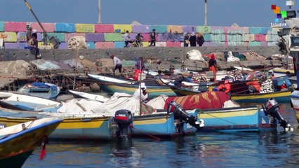 Israel Temporarily Extends Fishing Zone in Palestine