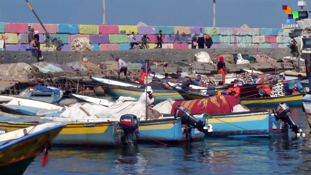 Israel Temporarily Extends Fishing Zone in Palestine