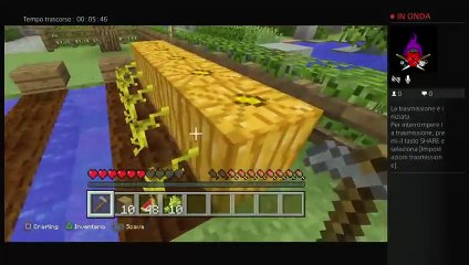 Minecraft il segreto (25)