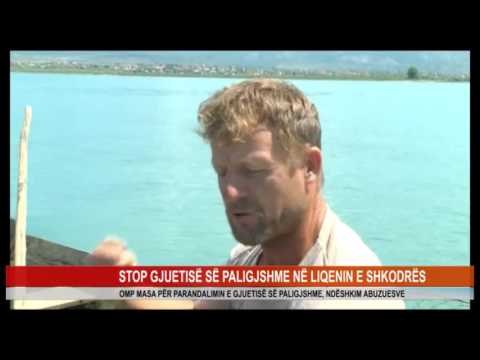 STOP GJUETISË SË PALIGJSHME NË LIQENIN E SHKODRËS