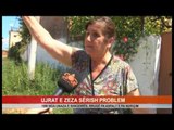 UJRAT E ZEZA SËRISH PROBLEM