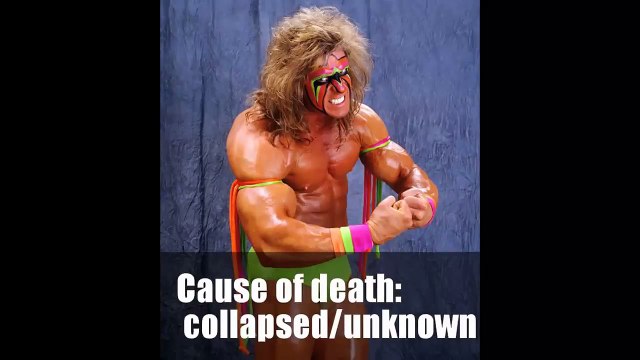 WWE wrestlers death reasons (R.I.P) till 2015 - Part 2 | Tribute to Ultimate Warrior