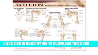 [FREE] EBOOK Lippincott Williams   Wilkins Atlas of Anatomy Skeletal System Chart: Upper and Lower
