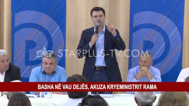 BASHA NË VAU TË DEJËS, AKUZA KRYEMINISTRIT RAMA