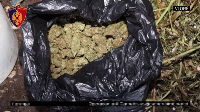 Gjykata lë në burg një nga të arrestuarit për drogën e Vlorës