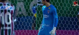 Fluminense 1 x 2 São Paulo GOLS - Brasileirão Série A 17/10/2016