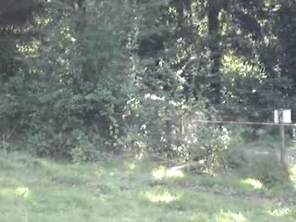 Rallye des Lacs 2007