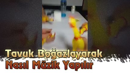 Tavuk Boğazlayarak Nasıl Müzik Yapılır