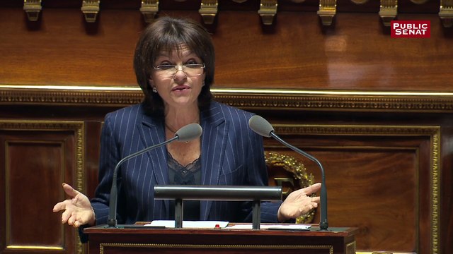 La convention fiscale avec le Qatar fait de la France un paradis fiscal selon Nathalie Goulet