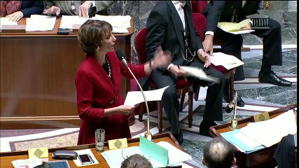PLFSS 2017 : la réponse de la ministre Marisol Touraine sur le packing