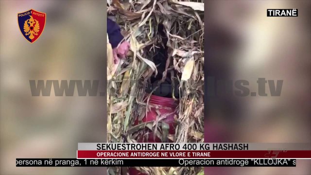 Sekuestrohet hashash në Tiranë dhe Vlorë - News, Lajme - Vizion Plus