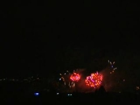 Geneva Fireworks 2007 Genève Feux d'Artifice (6)