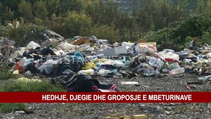 MBETJE PA KRITER NË BREGUN E LUMIT BUNA