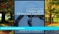 Big Deals  A History of Crime and Criminal Justice in America  Full Ebooks Best Seller