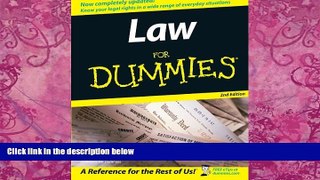 Big Deals  Law For Dummies  Best Seller Books Best Seller