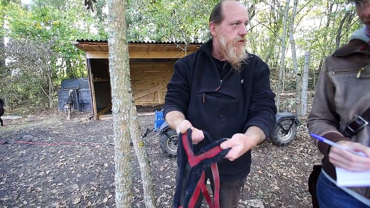 En chiens de traîneau...dans la forêt de la Braconne (Majid Bouzzit et Céline Aucher)