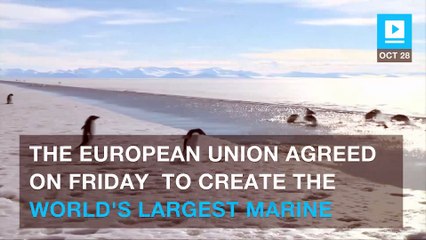 World's largest marine park to be created in Antarctic Ocean