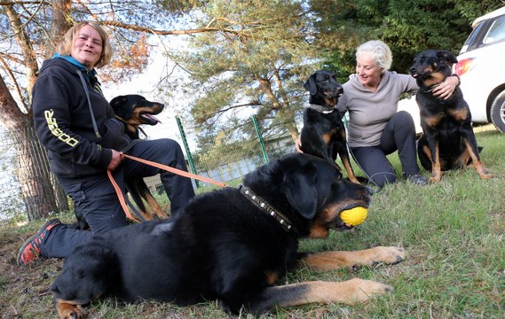 Coupe du monde de chiens de bergers à Falck : la voix de leurs maîtres