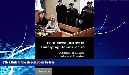 Big Deals  Politicized Justice in Emerging Democracies: A Study of Courts in Russia and Ukraine