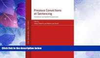 Big Deals  Previous Convictions at Sentencing: Theoretical and Applied Perspectives (Studies in