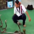 5 Snakes Attack On One Man Most Dangerous Video