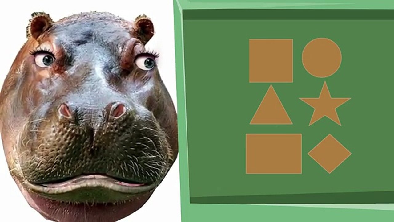 Childrens Shapes (hippopotamus)