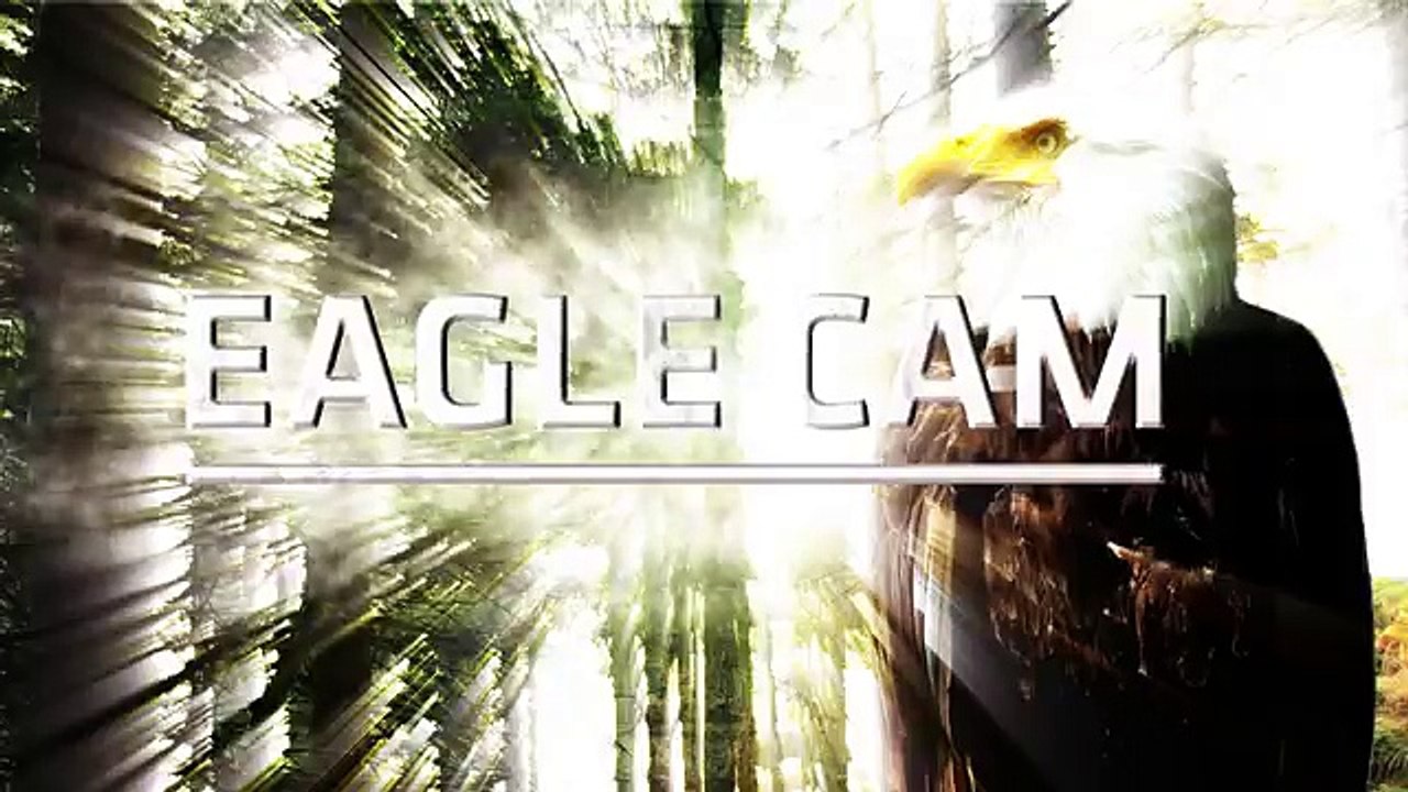 A câmara filmava a natureza… Mas acabou por filmar algo inacreditável