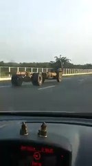 What the hell did I just witness