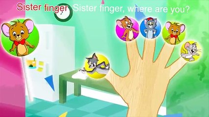 Peppa Pig Turtle Ninja Finger Family Lollipop Nursery Rhymes Lyrics