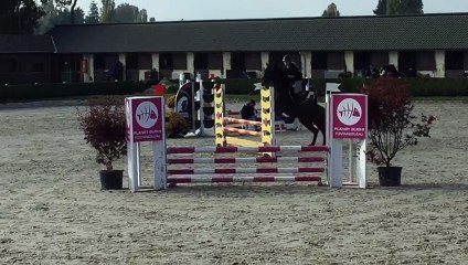 DS ’ SHADOW S SON   Lou Anne   TDA Barbizon