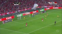 Goncalo Guedes Goal HD - Benfica 1 - 0 Ferreira - 28.10.2016