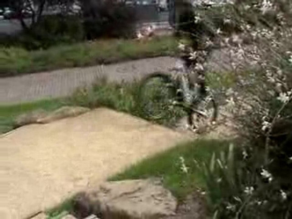 MTB Street-Run 2007