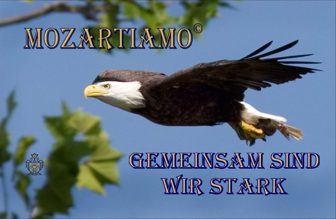 MOZARTIAMO Gemeinsam sind wir stark - Deutscher Schlager für den Frieden von Joachim Josef Wolf