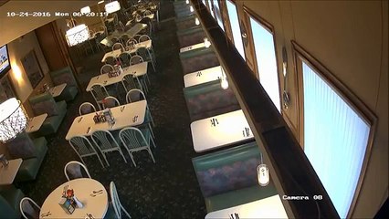 Así fue como un venado entró a un restaurante y asustó a los clientes