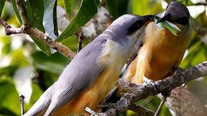 LA OTRA NOCHE VI LLOVER- FRANCISCO DE MIGUEL