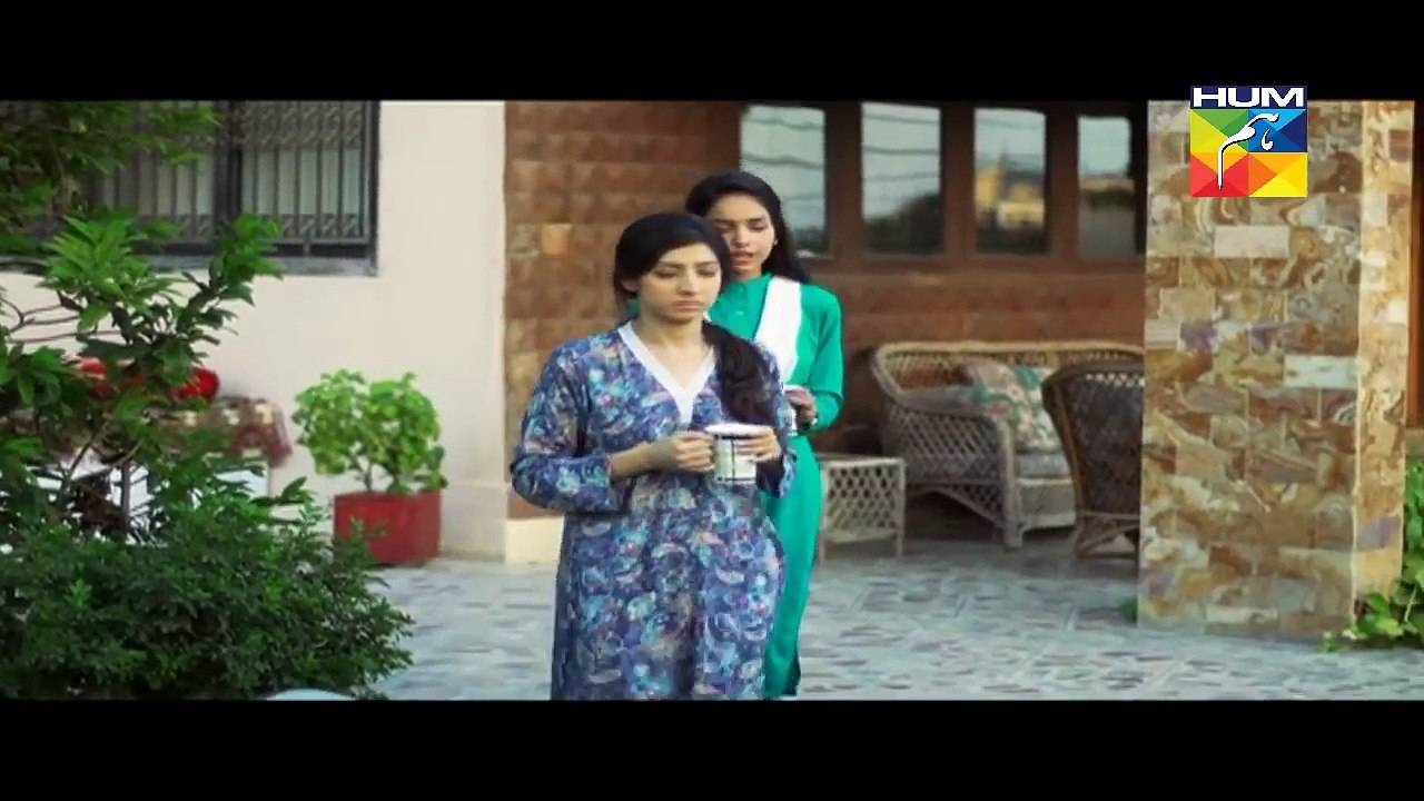 Haya Kay Daman Main Episode 17 Full HUM TV Drama 21 April 2016